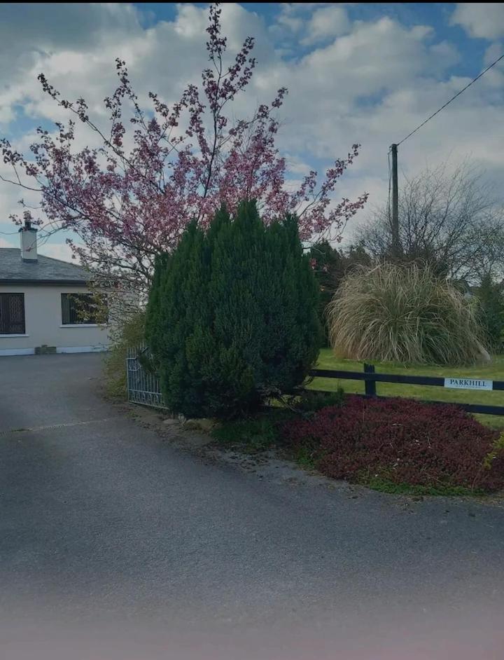 Parkhill House Self Catering Apartment Ballyshannon Exterior photo